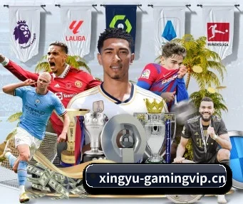 杏宇娱乐gamingvip APP